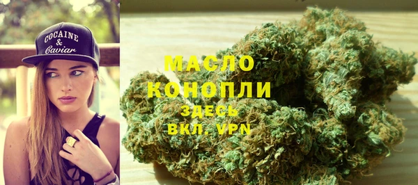 гидра Арсеньев