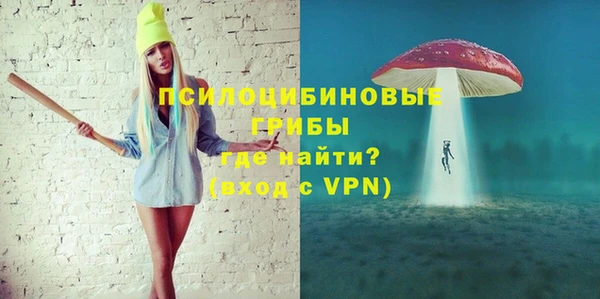 гидра Арсеньев