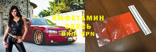 гидра Арсеньев
