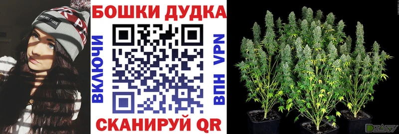 Бошки Шишки тримм  Богданович 